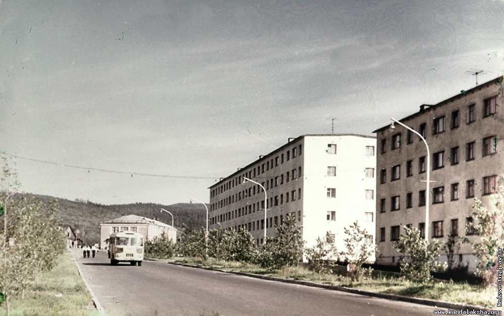 ��. 50 ��� �������. 60-� ����