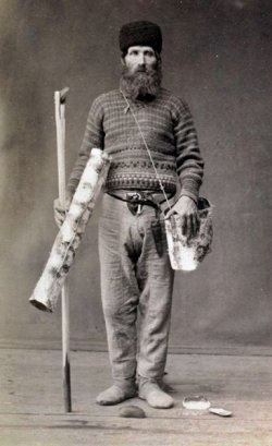 Северный жемчуг Северный жемчуг